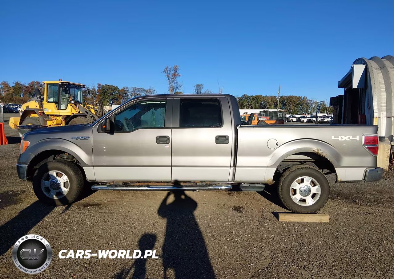 2009 Ford F-150 Xl-Xlt VIN:1FTRW14869FA69796 - 15