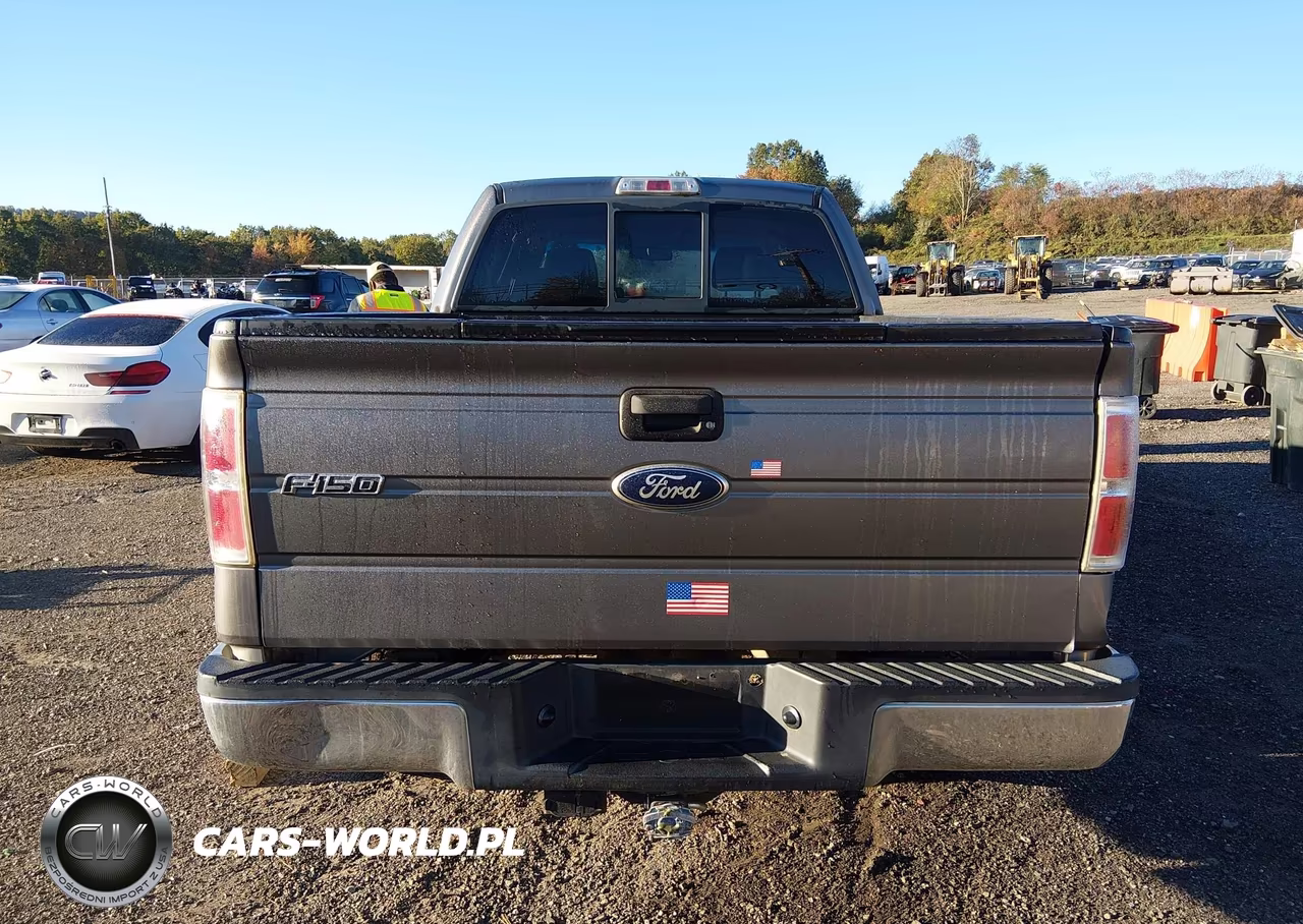 2009 Ford F-150 Xl-Xlt VIN:1FTRW14869FA69796 - 17