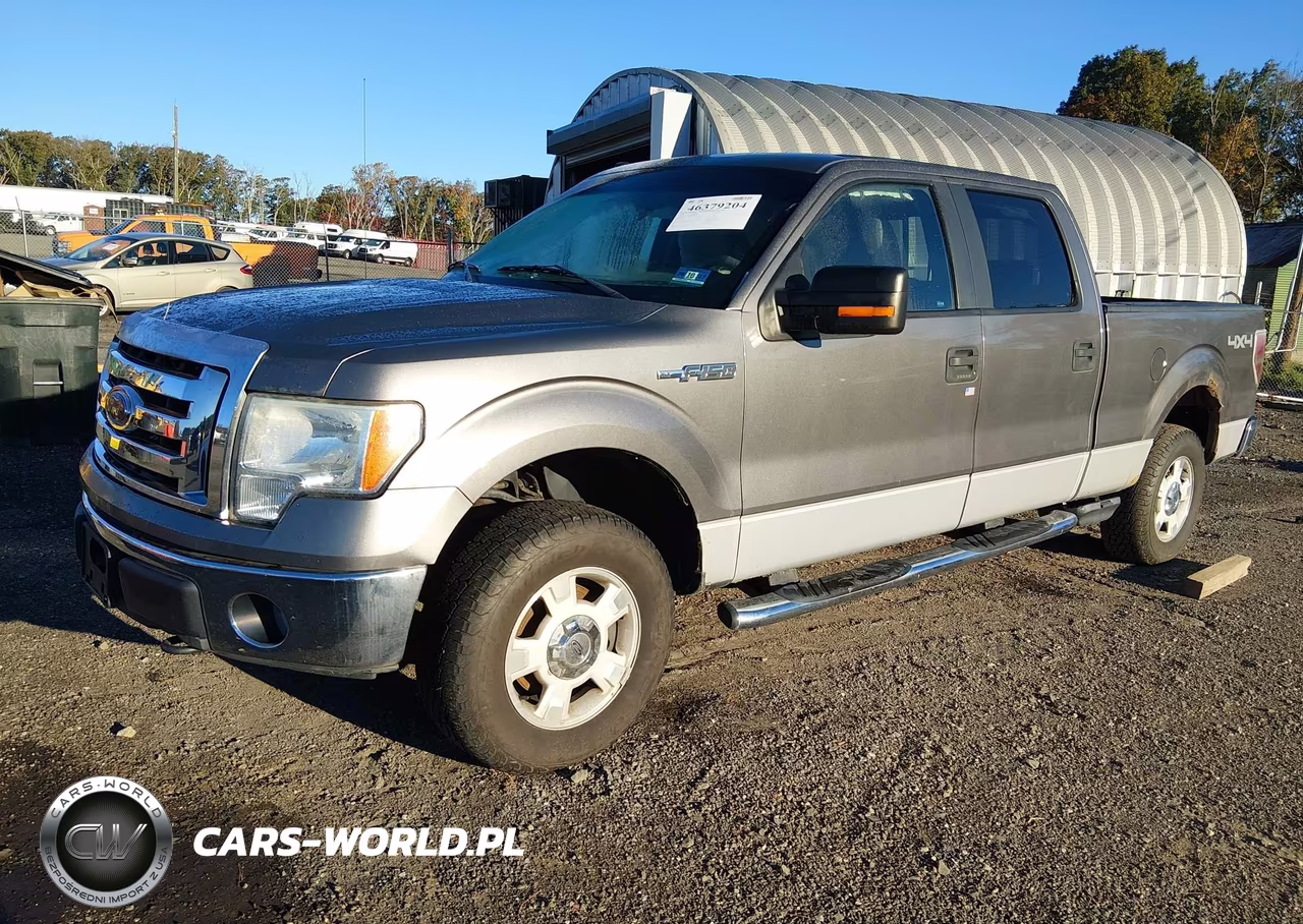 2009 Ford F-150 Xl-Xlt VIN:1FTRW14869FA69796 - 2