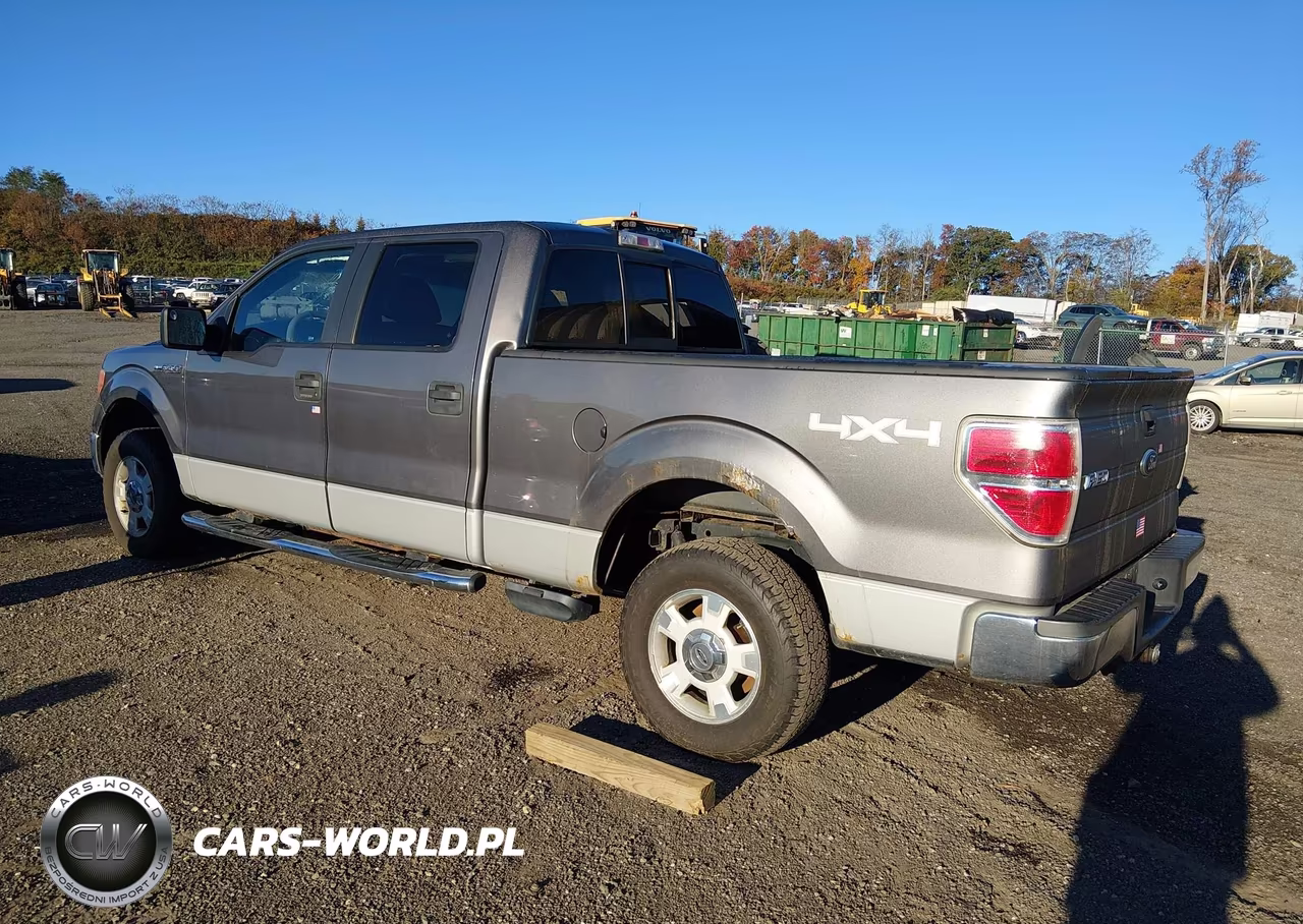 2009 Ford F-150 Xl-Xlt VIN:1FTRW14869FA69796 - 3