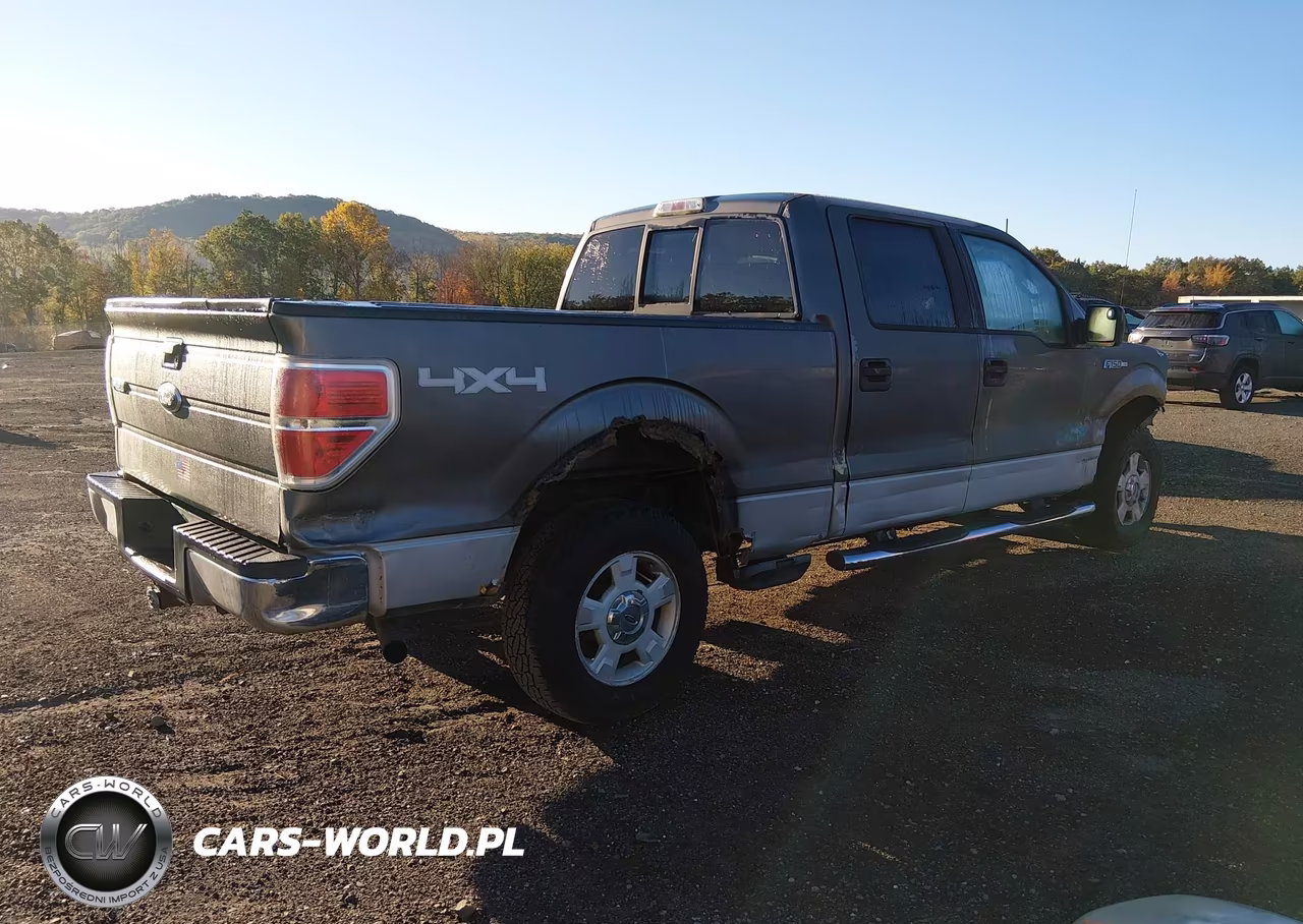 2009 Ford F-150 Xl-Xlt VIN:1FTRW14869FA69796 - 4