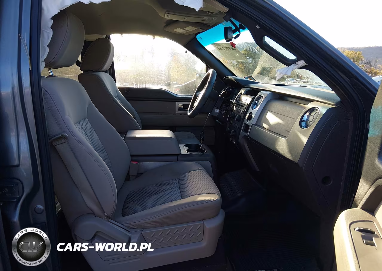 2009 Ford F-150 Xl-Xlt VIN:1FTRW14869FA69796 - 5