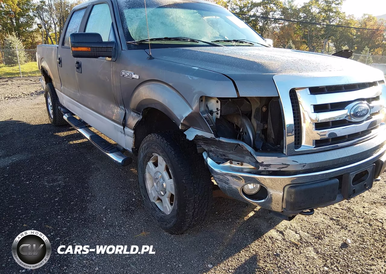 2009 Ford F-150 Xl-Xlt VIN:1FTRW14869FA69796 - 6