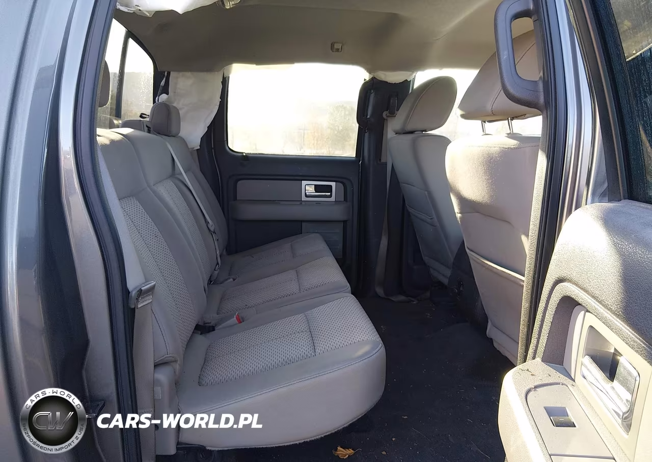 2009 Ford F-150 Xl-Xlt VIN:1FTRW14869FA69796 - 8