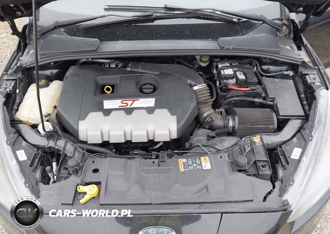 2017 Ford Focus St VIN:1FADP3L98HL252474 - 10