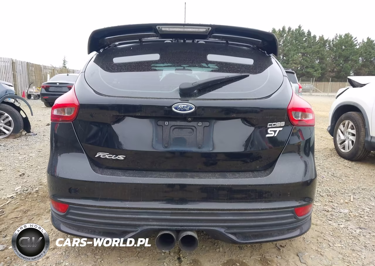 2017 Ford Focus St VIN:1FADP3L98HL252474 - 17