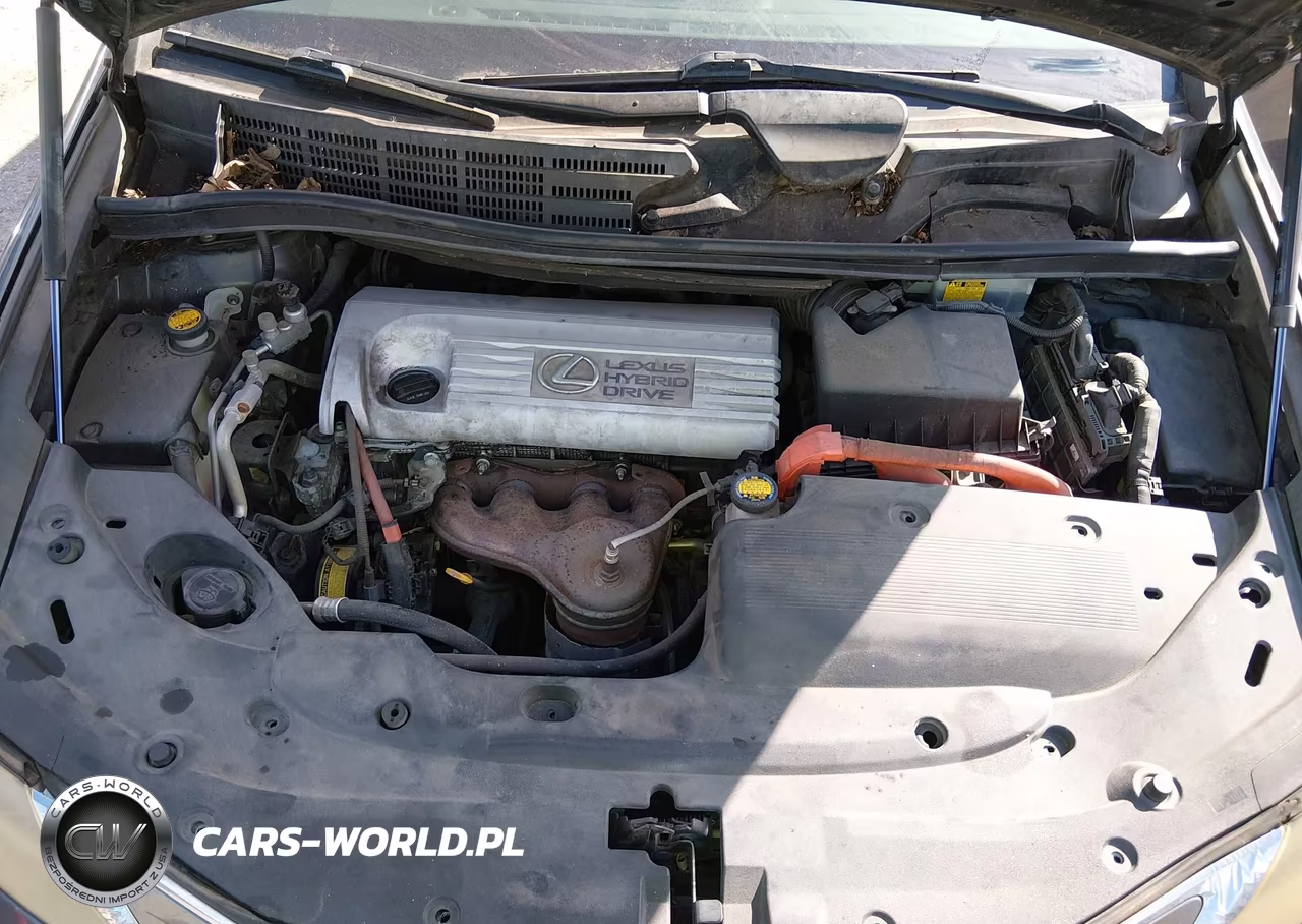 2010 Lexus Hs 250H Premium VIN:JTHBB1BA1A2009776 - 10