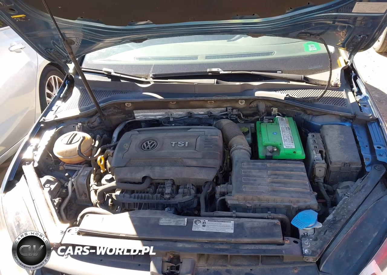 2015 Volkswagen Golf Tsi S 4-Door VIN:3VW217AUXFM019660 - 10
