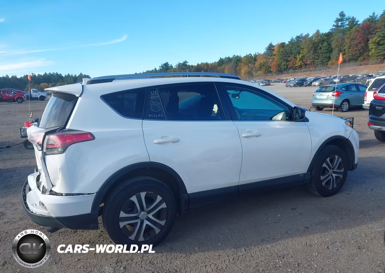 TOYOTA RAV4 LE VIN:JTMBFREV8GJ080460 - 13
