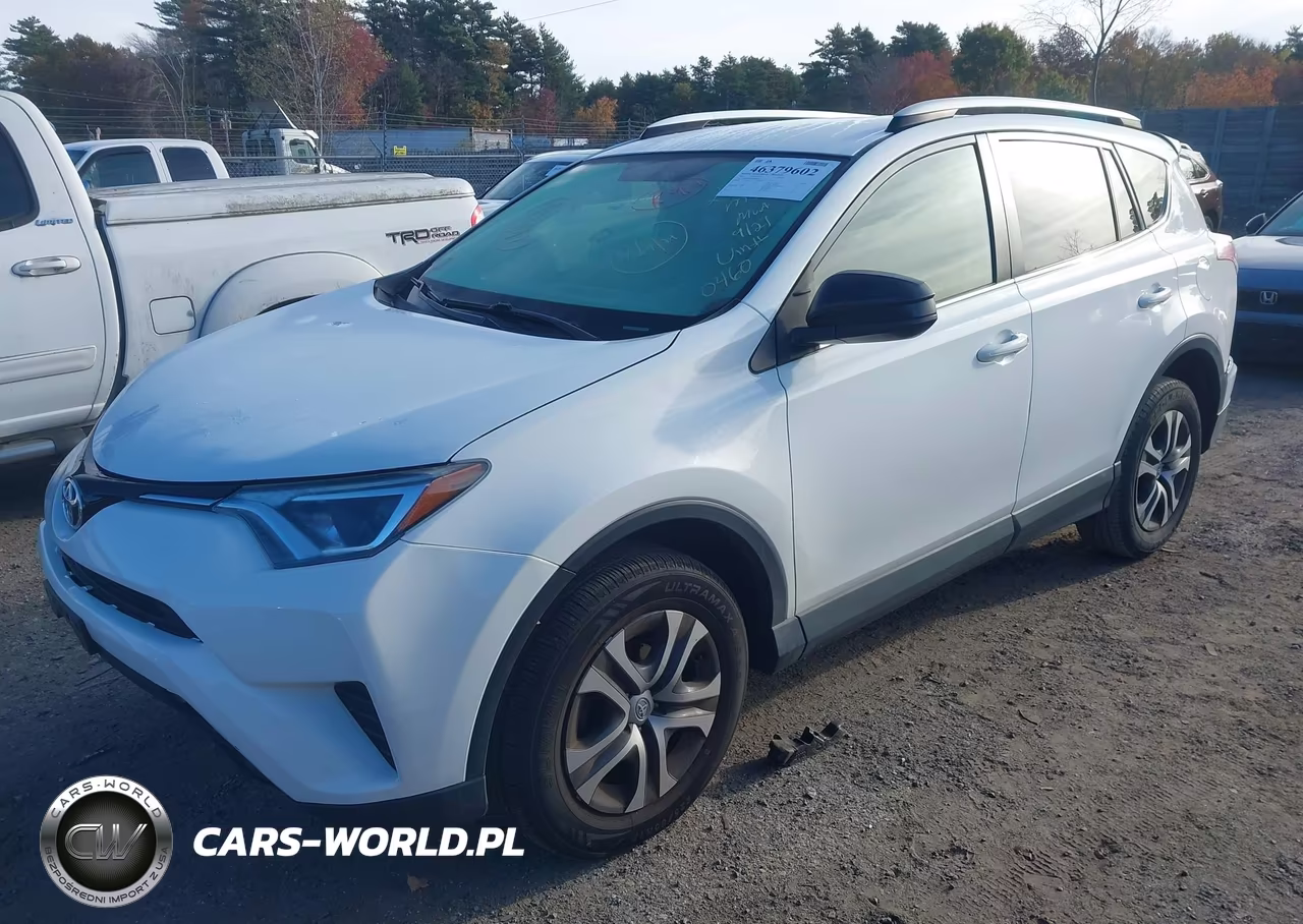 TOYOTA RAV4 LE VIN:JTMBFREV8GJ080460 - 2