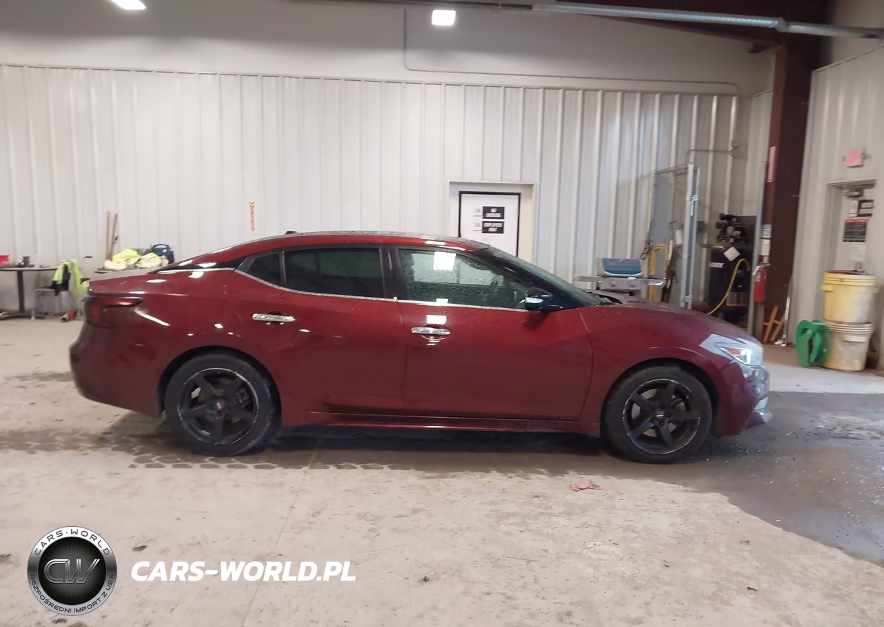 2017 Nissan Maxima 3.5 Platinum VIN:1N4AA6AP5HC404993 - 13