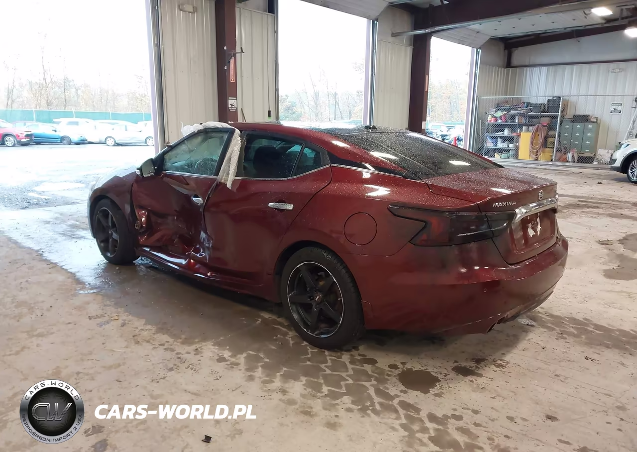 2017 Nissan Maxima 3.5 Platinum VIN:1N4AA6AP5HC404993 - 3