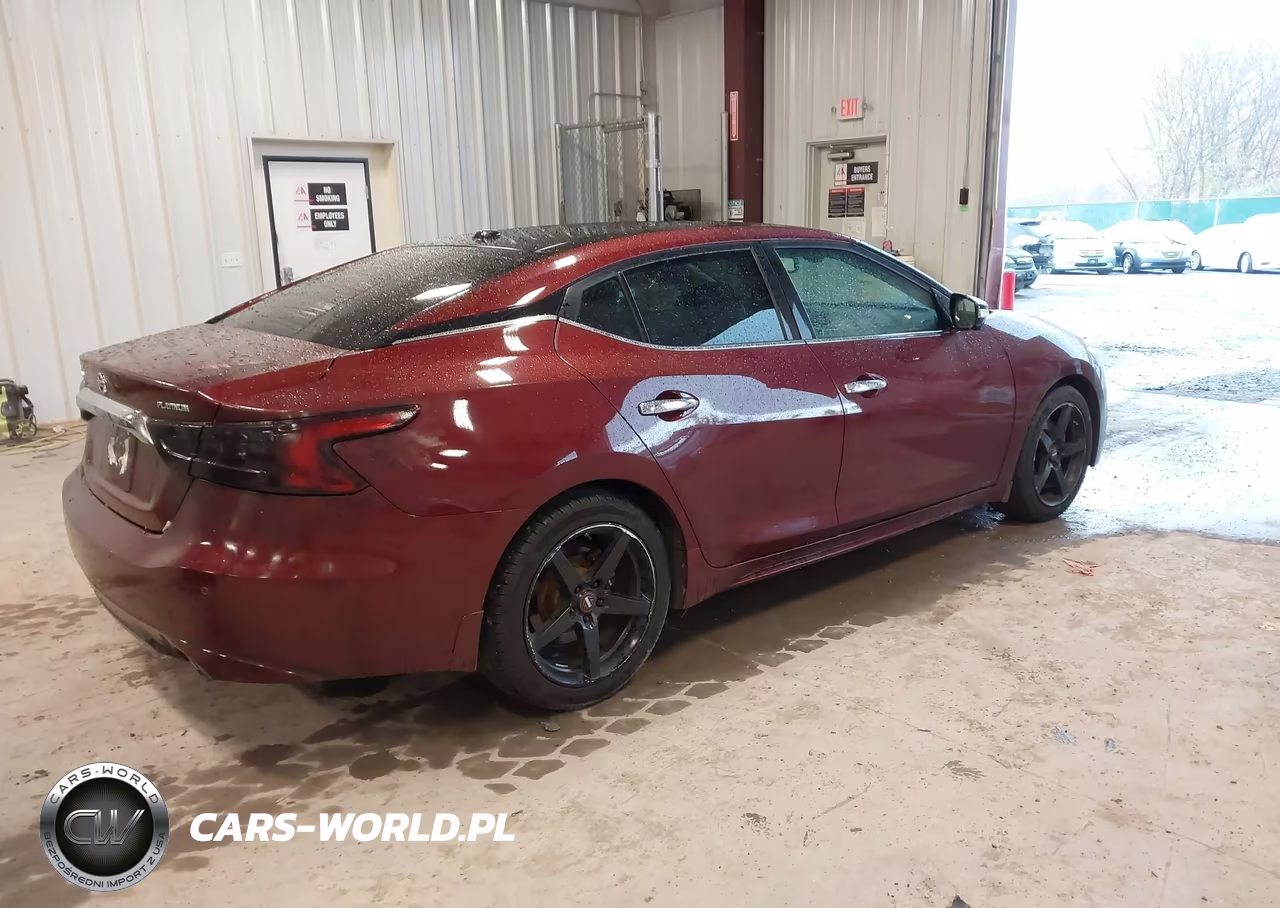 2017 Nissan Maxima 3.5 Platinum VIN:1N4AA6AP5HC404993 - 4