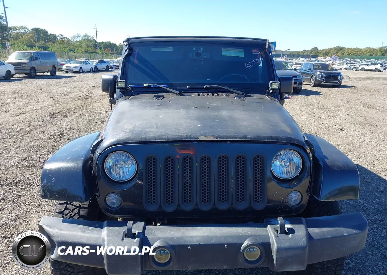 2016 Jeep Wrangler Unlimited Rubicon VIN:1C4BJWFG7GL205952 - 12