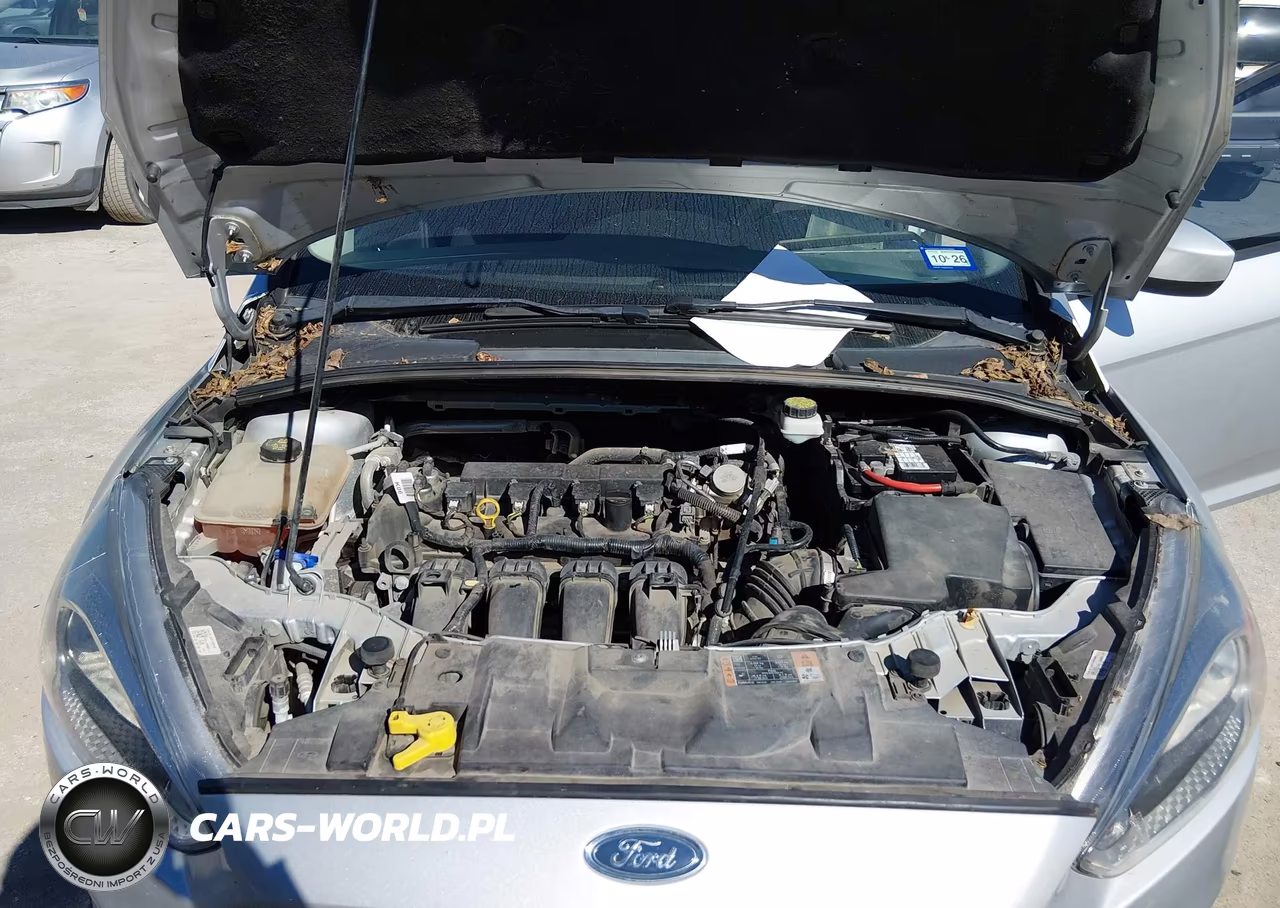2018 Ford Focus Se VIN:1FADP3K26JL251348 - 10