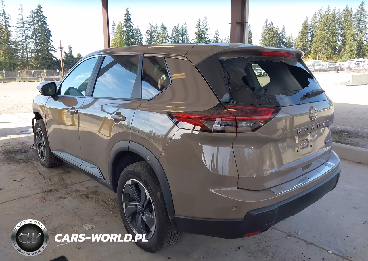 2025 Nissan Rogue Sv Intelligent Awd VIN:5N1BT3BB3SC675631 - 3