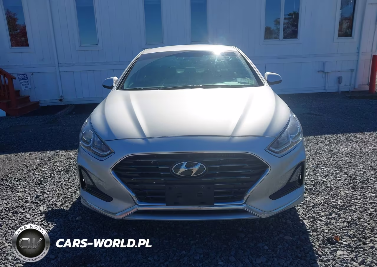 2019 Hyundai Sonata Eco VIN:5NPE24AA0KH775838 - 12