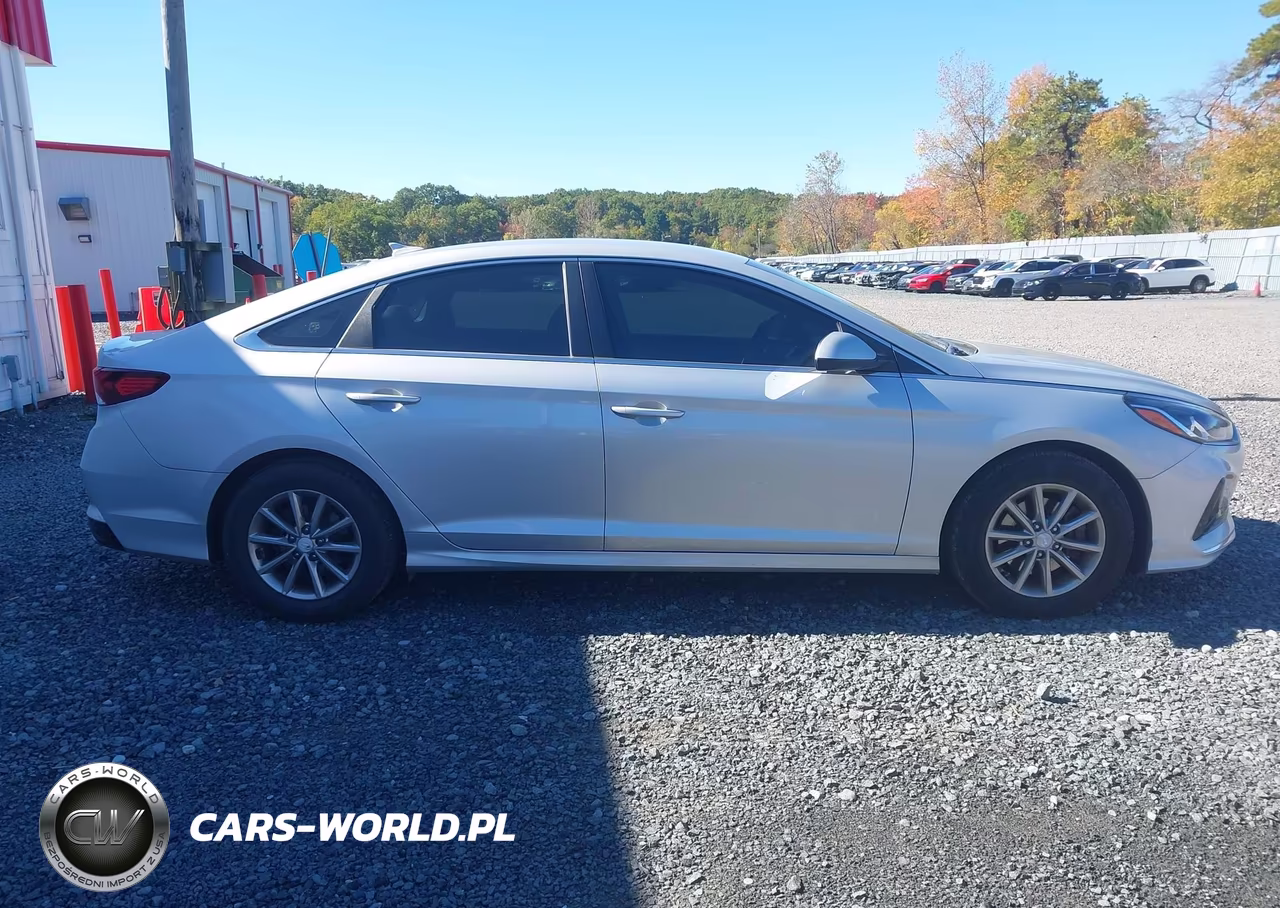 2019 Hyundai Sonata Eco VIN:5NPE24AA0KH775838 - 13