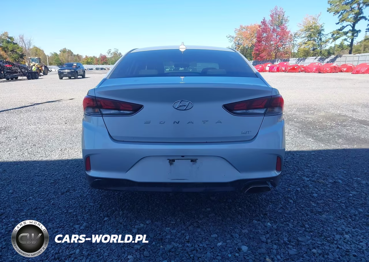 2019 Hyundai Sonata Eco VIN:5NPE24AA0KH775838 - 16