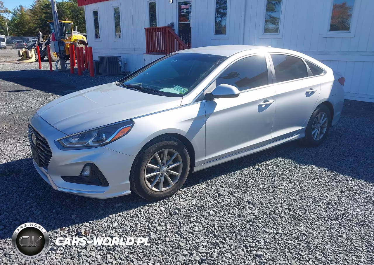 2019 Hyundai Sonata Eco VIN:5NPE24AA0KH775838 - 2