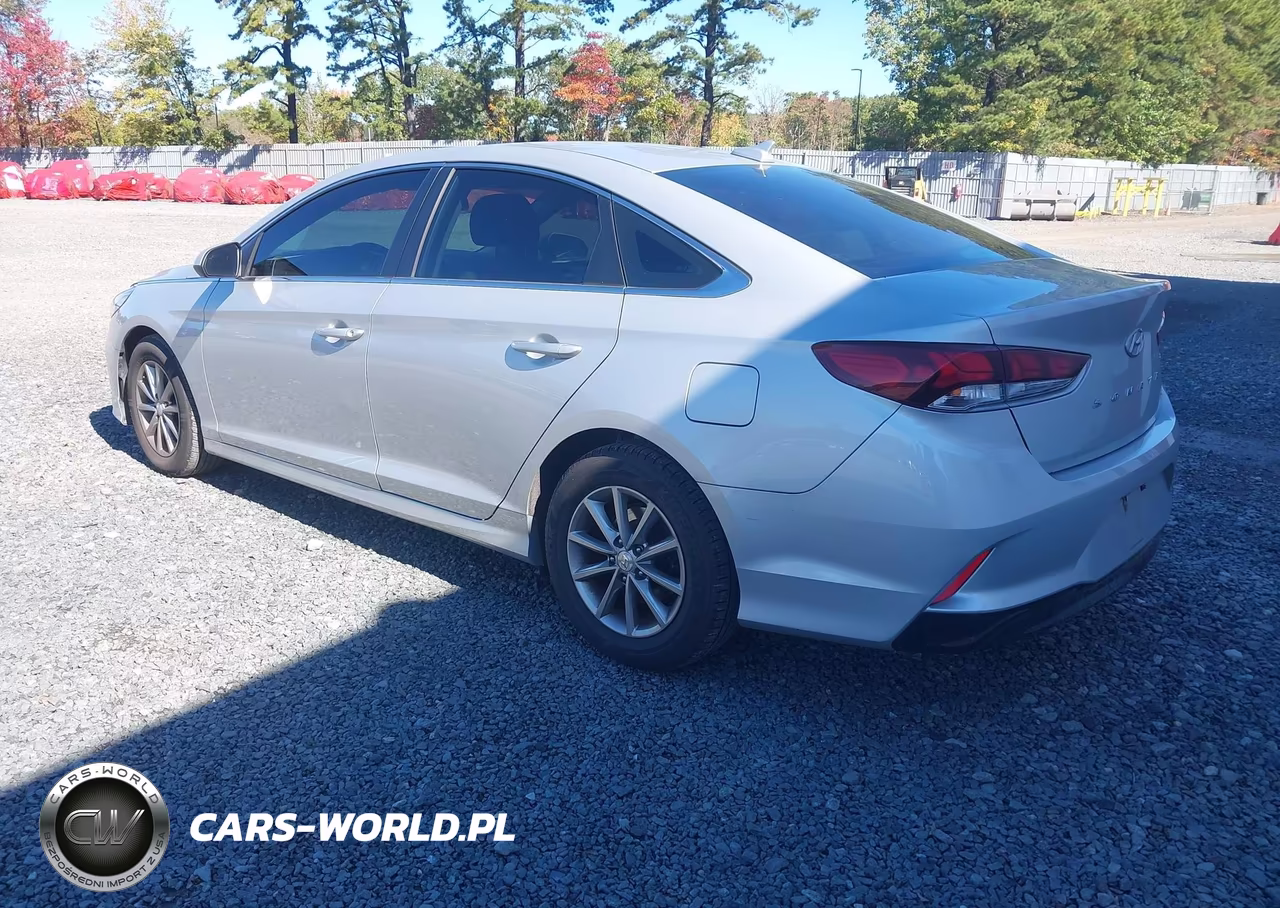 2019 Hyundai Sonata Eco VIN:5NPE24AA0KH775838 - 3