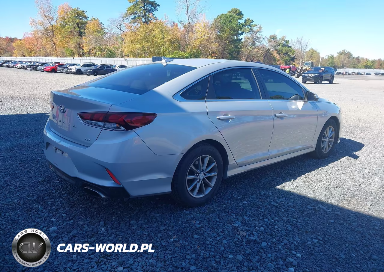 2019 Hyundai Sonata Eco VIN:5NPE24AA0KH775838 - 4