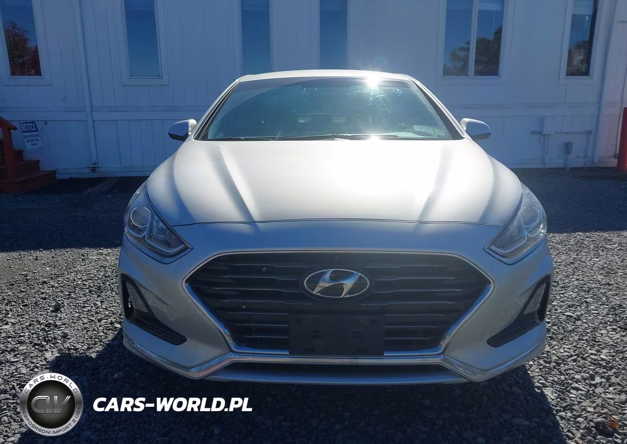2019 Hyundai Sonata Eco VIN:5NPE24AA0KH775838 - 6