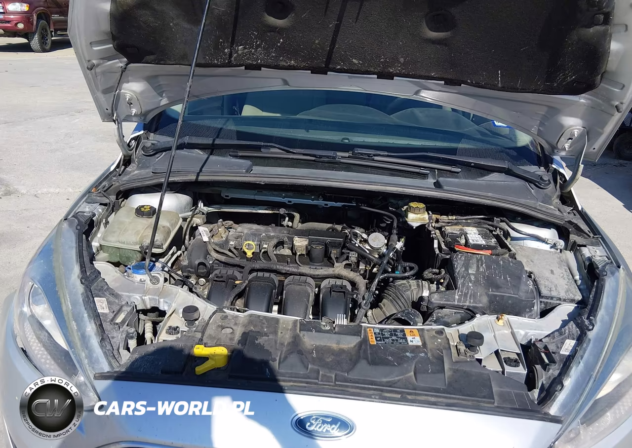 2018 Ford Focus Se VIN:1FADP3K29JL241882 - 10