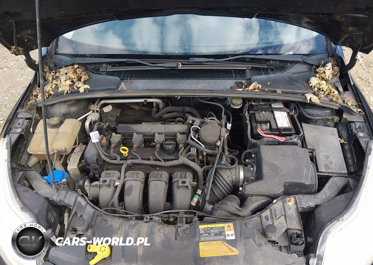 2014 Ford Focus Se VIN:1FADP3F25EL252524 - 10