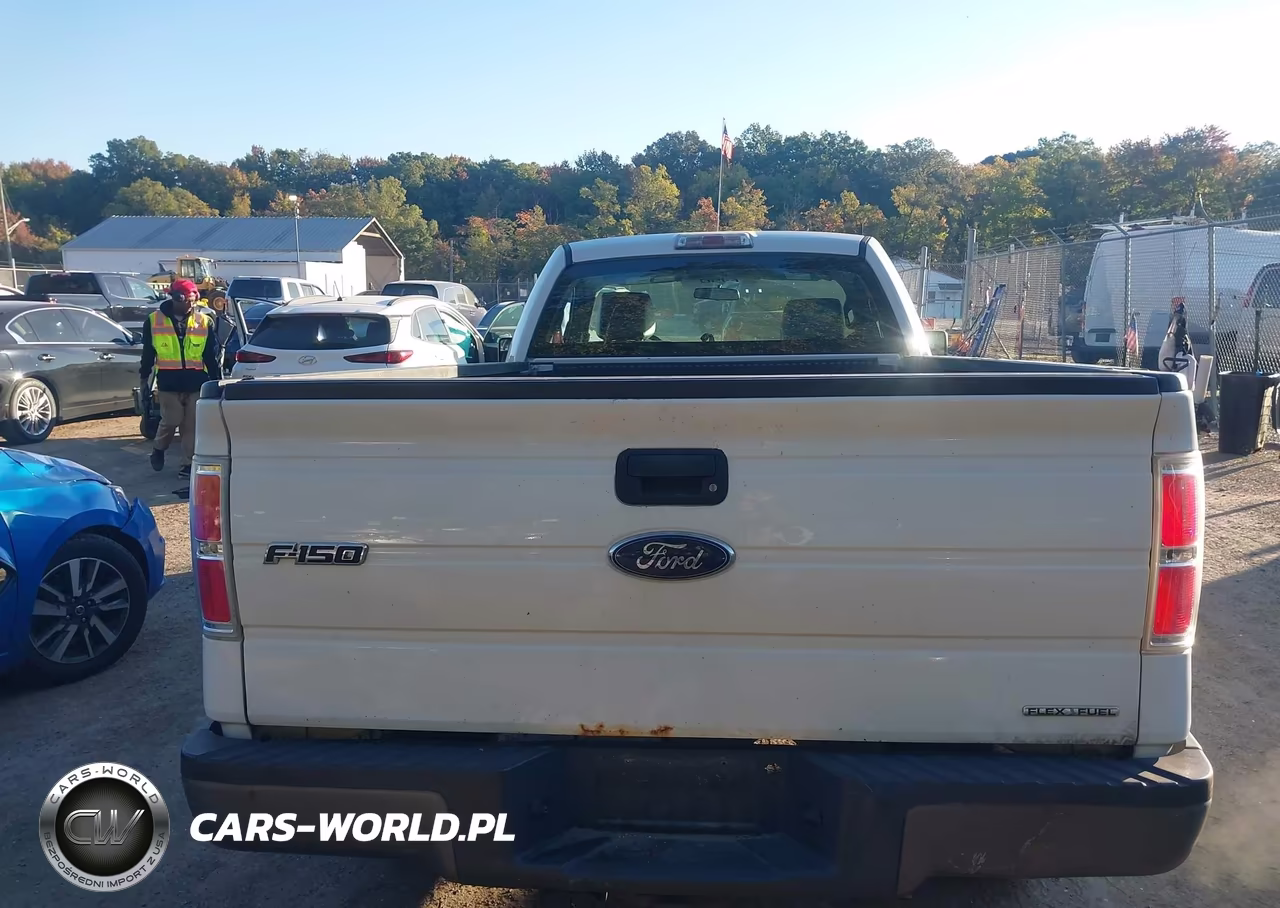 2013 Ford F-150 Xl VIN:1FTMF1CM9DKD58101 - 16