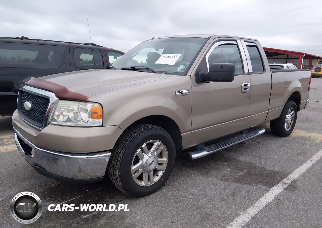 2006 Ford F-150 Stx-Xl-Xlt VIN:1FTRX12W46NB87619 - 2