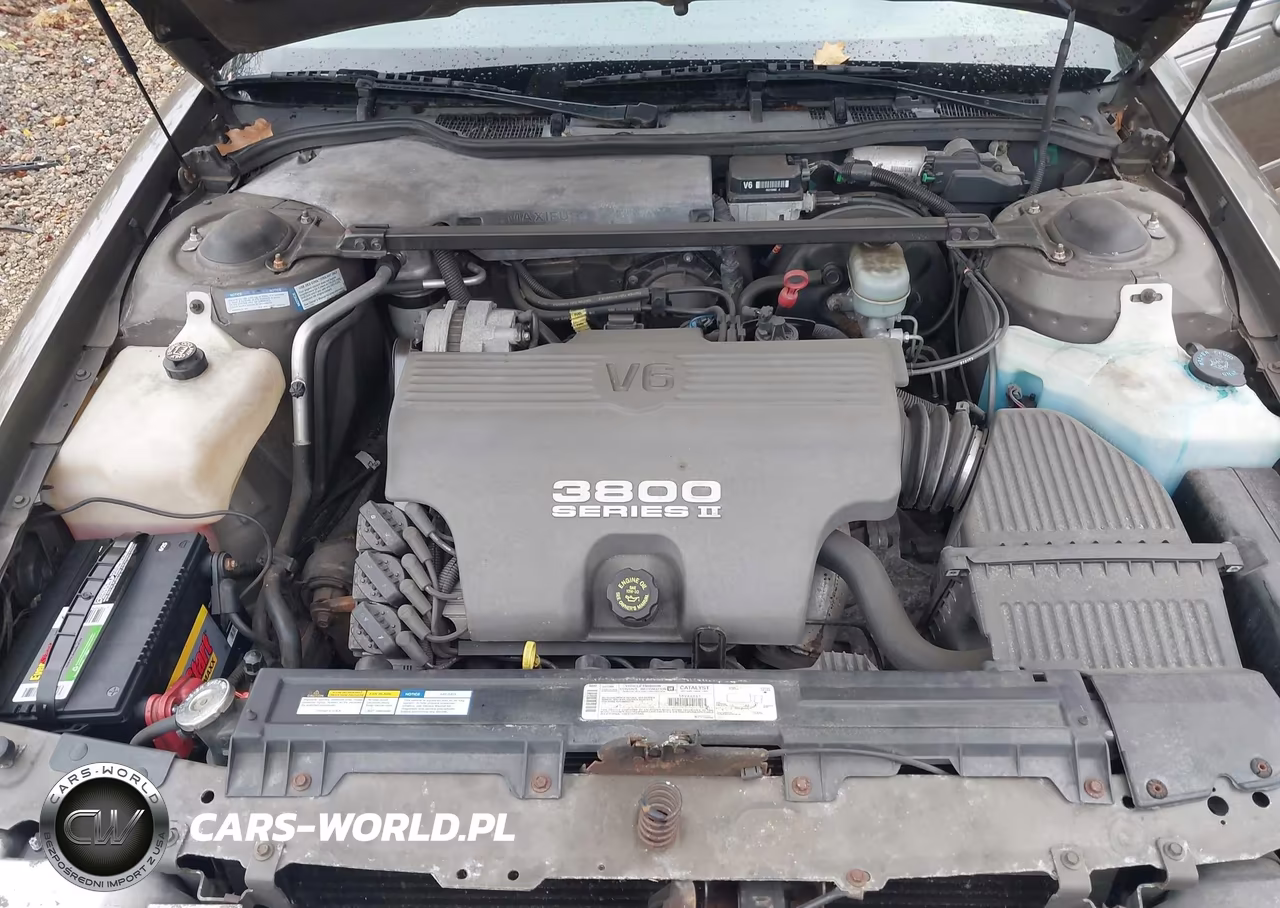 1999 Buick Lesabre Custom VIN:1G4HP52K4XH404596 - 10