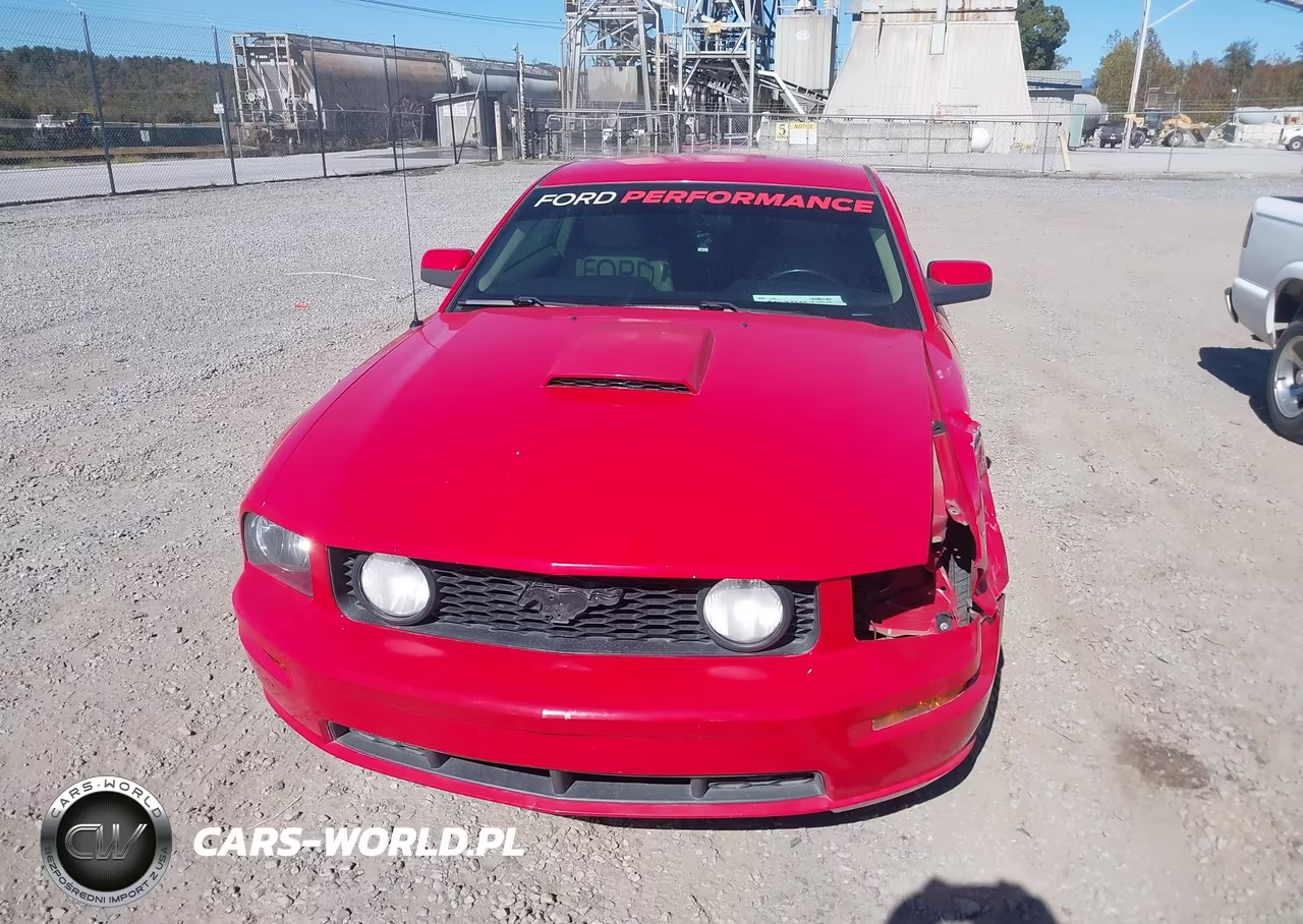 2007 Ford Mustang Gt Deluxe-Gt Premium VIN:1ZVHT82H975232697 - 12