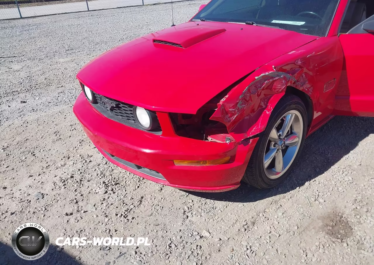 2007 Ford Mustang Gt Deluxe-Gt Premium VIN:1ZVHT82H975232697 - 6