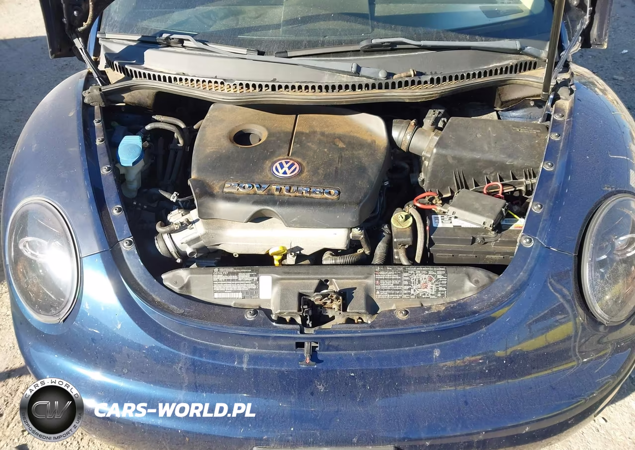 2003 Volkswagen New Beetle Gls 1.8T VIN:3VWCD21Y73M329908 - 10