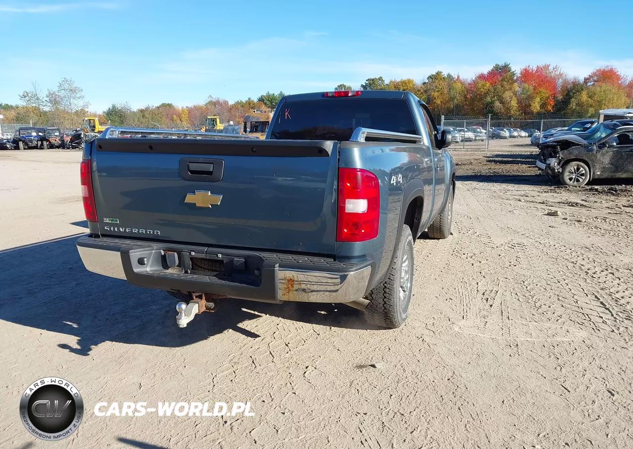 2010 Chevrolet Silverado 1500 Work Truck VIN:1GCPKPEA5AZ284144 - 4