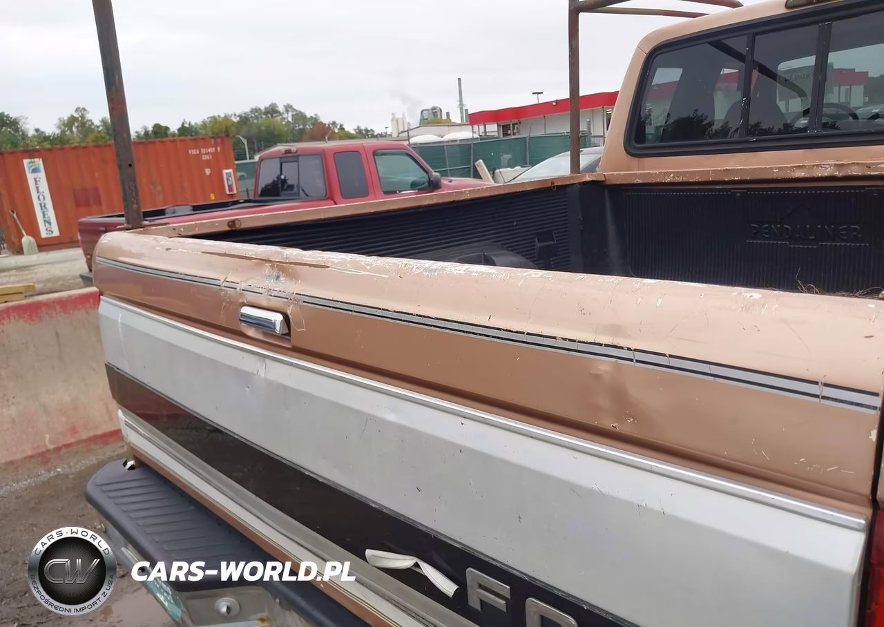 1994 Ford F150 VIN:1FTEX14NXRKA79465 - 17
