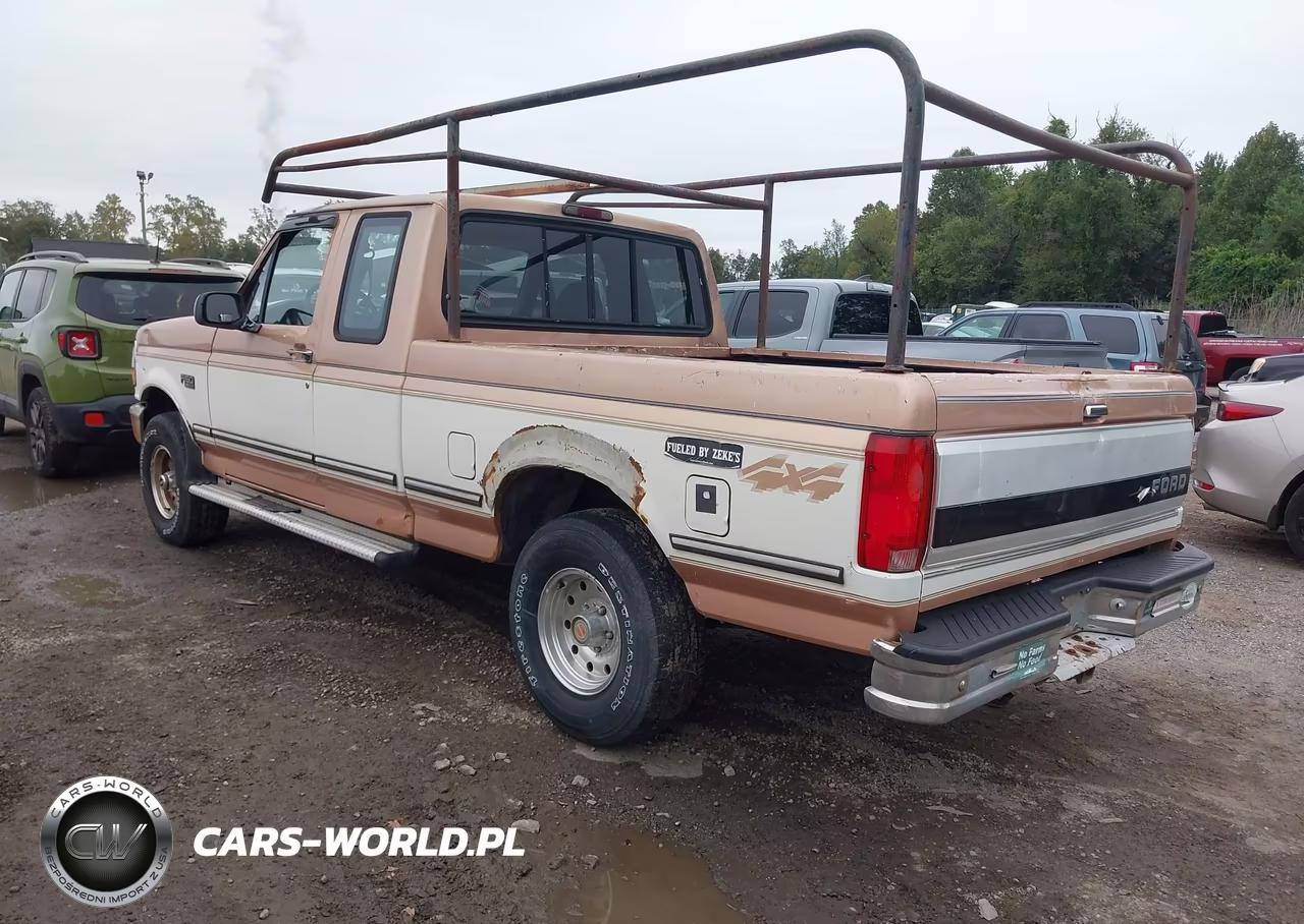 1994 Ford F150 VIN:1FTEX14NXRKA79465 - 3