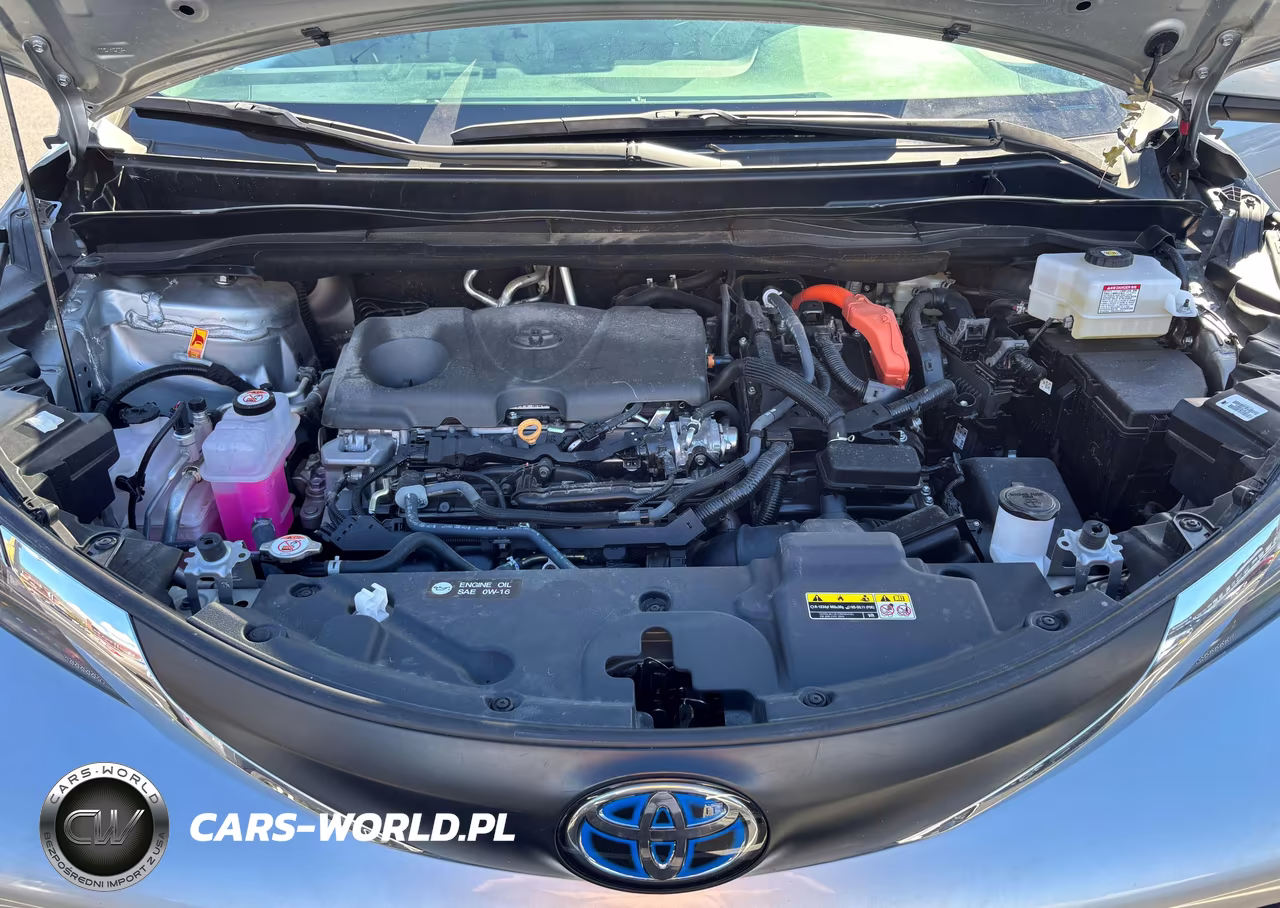 2025 Toyota Sienna Le VIN:5TDKSKFCXSS210069 - 10