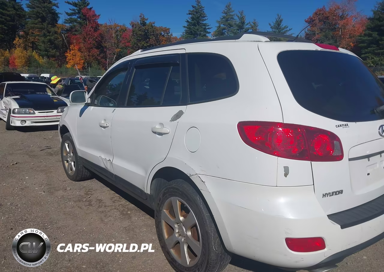2009 Hyundai Santa Fe Se VIN:5NMSH73EX9H332834 - 15