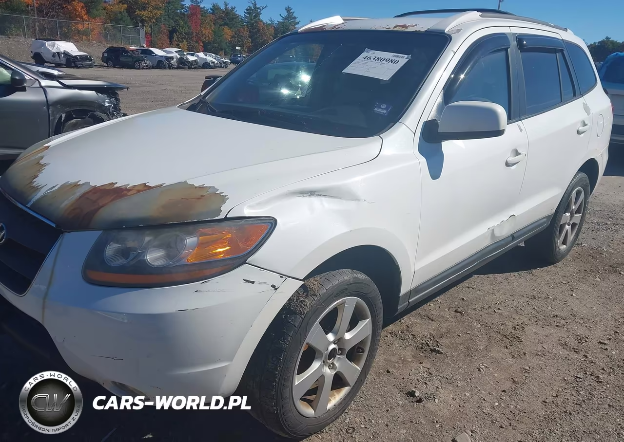 2009 Hyundai Santa Fe Se VIN:5NMSH73EX9H332834 - 16