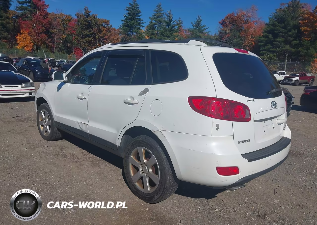 2009 Hyundai Santa Fe Se VIN:5NMSH73EX9H332834 - 3