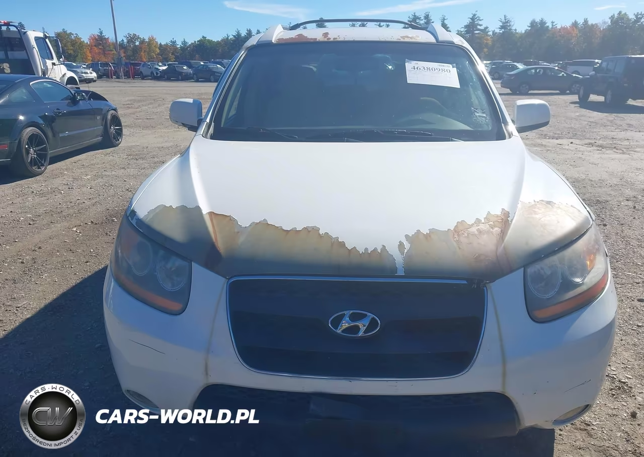 2009 Hyundai Santa Fe Se VIN:5NMSH73EX9H332834 - 6