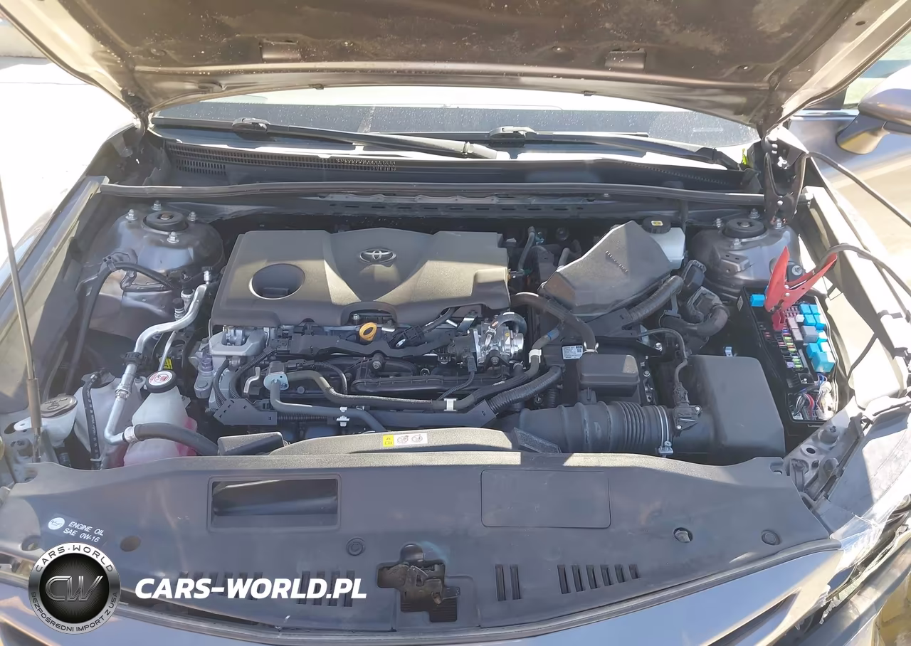 2021 Toyota Camry Se Hybrid VIN:4T1G31AKXMU029396 - 10