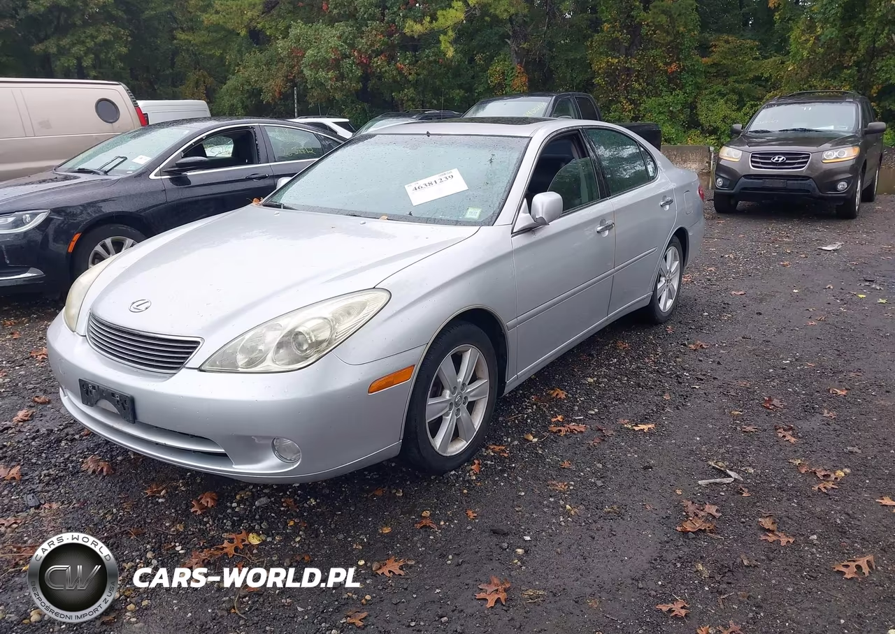2005 Lexus Es 330 VIN:JTHBA30G655120432 - 2
