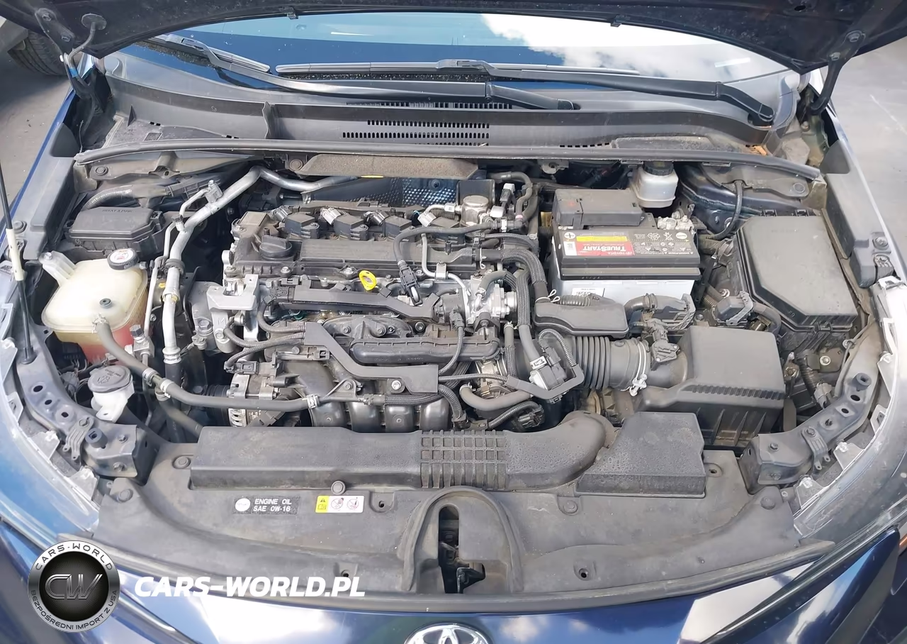 2020 Toyota Corolla Se VIN:JTDS4RCE5LJ010899 - 10