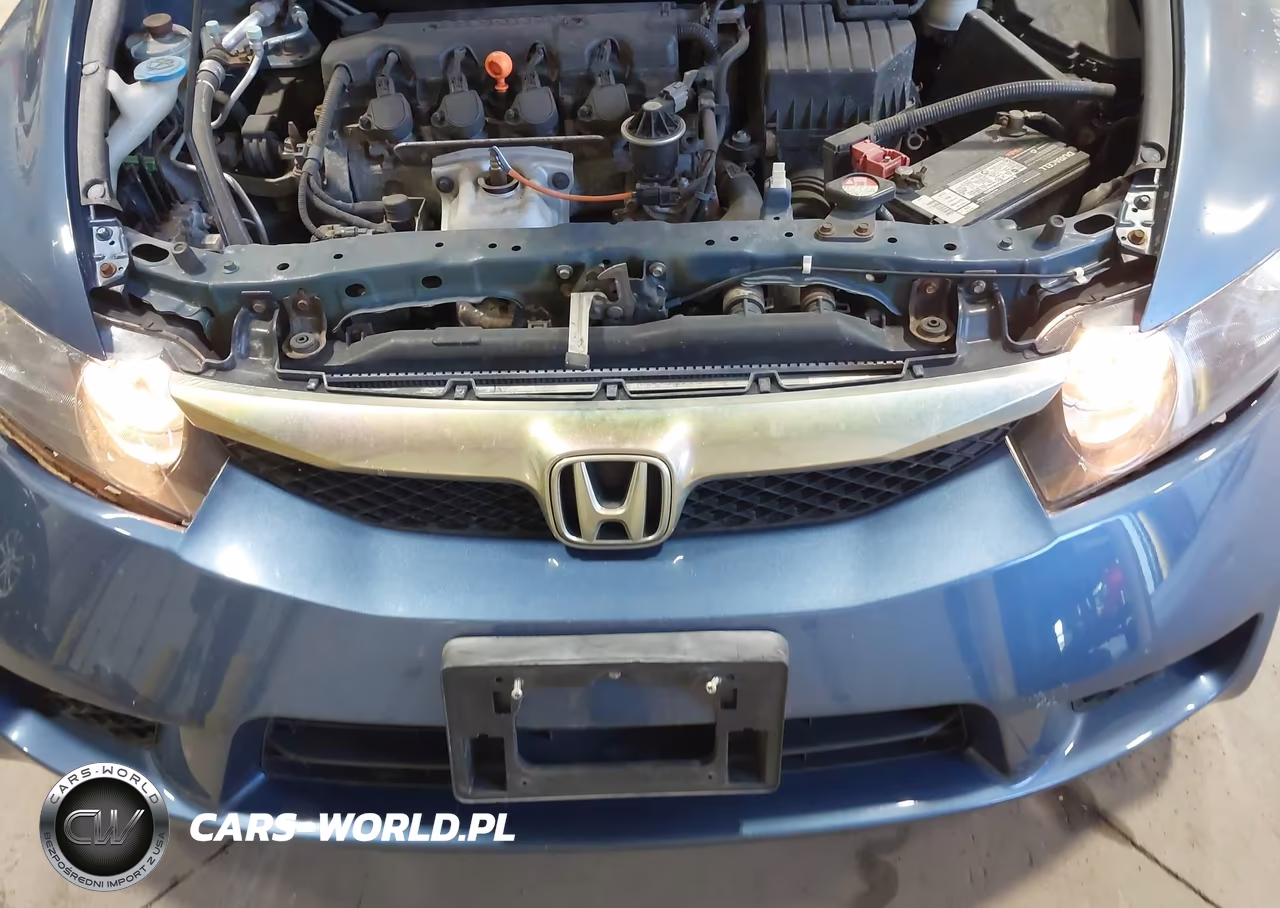2010 Honda Civic Lx VIN:2HGFA1F59AH303955 - 12