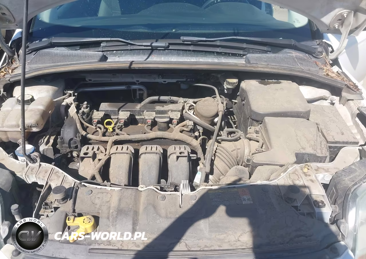 2014 Ford Focus Se VIN:1FADP3F26EL124230 - 10