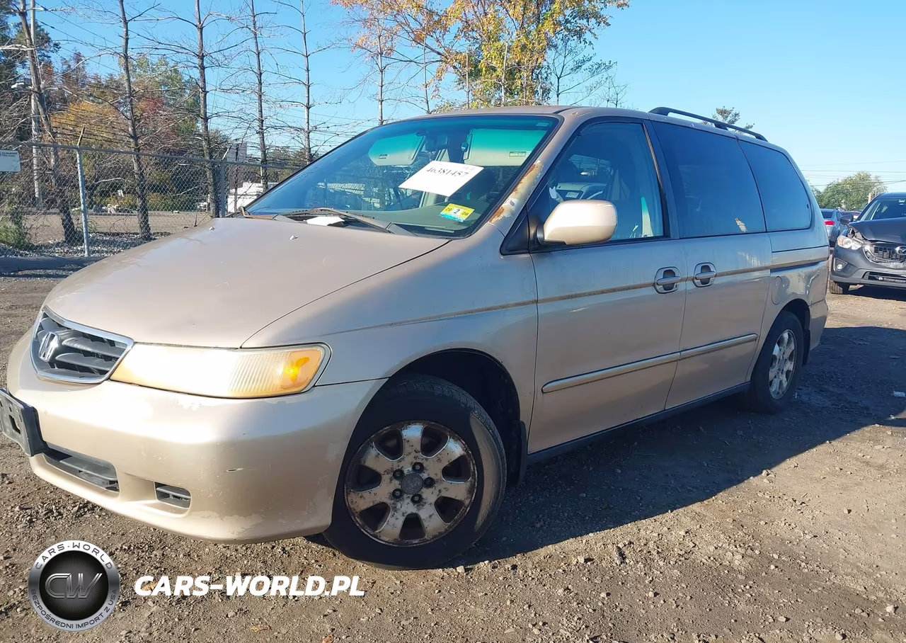 2002 Honda Odyssey Ex VIN:5FNRL18602B004597 - 2