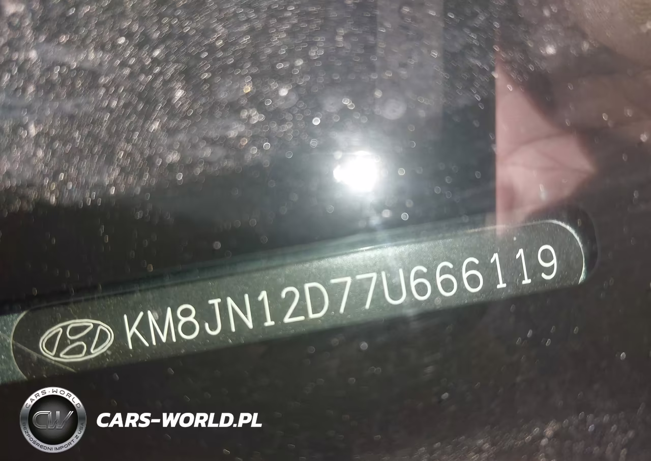 2007 Hyundai Tucson Limited-Se VIN:KM8JN12D77U666119 - 9